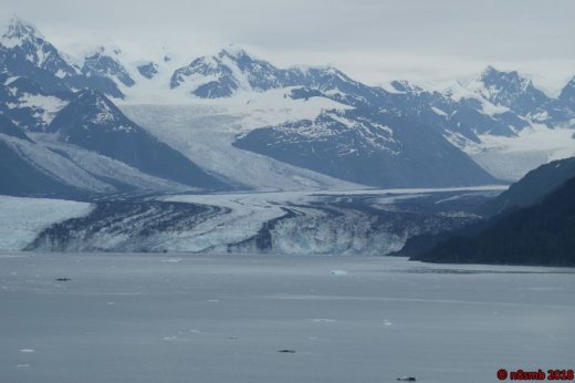 053-CollegeFjords